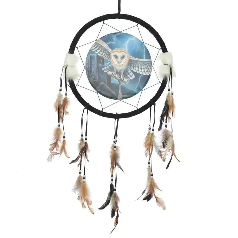 Heart of the Storm Owl Dreamcatcher - Lisa Parker