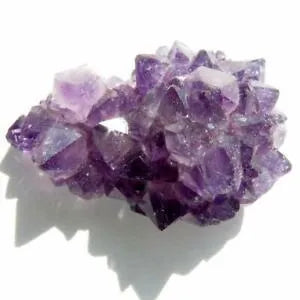 Amethyst Pine Cluster