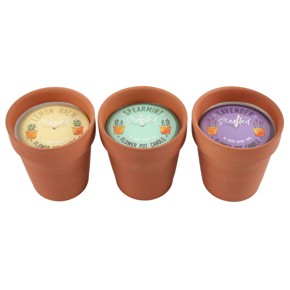 Fragranced Flower Pot Candle